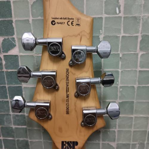 ESP LTD F-50電吉他