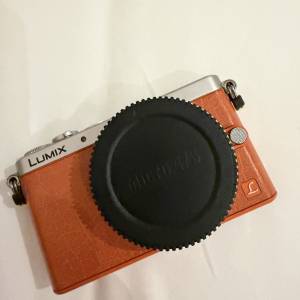 Panasonic Lumix GM1 m4/3