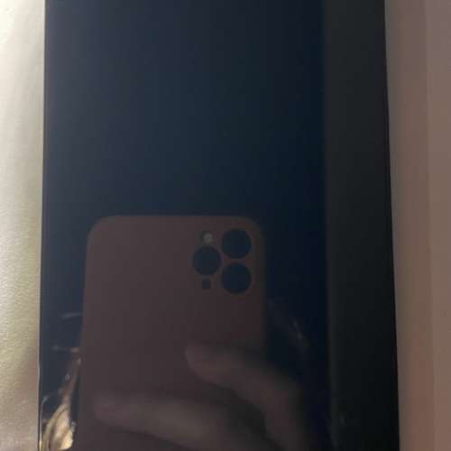 iPhone 12 Pro Max藍512gb有esim