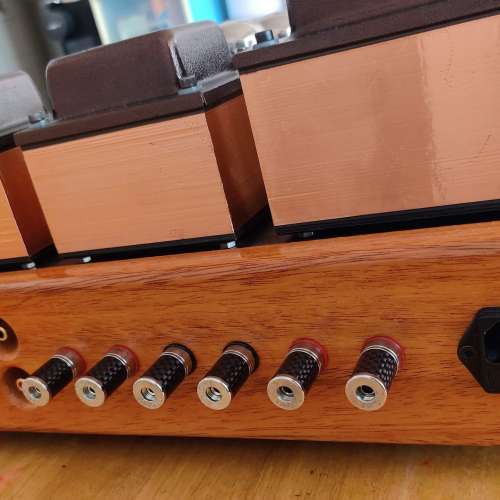 Diowy Audio DB4-KT88 (沒有任何真空管跟隨)