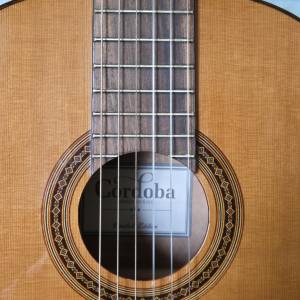Cordoba C5 Limited Edition 古典結他