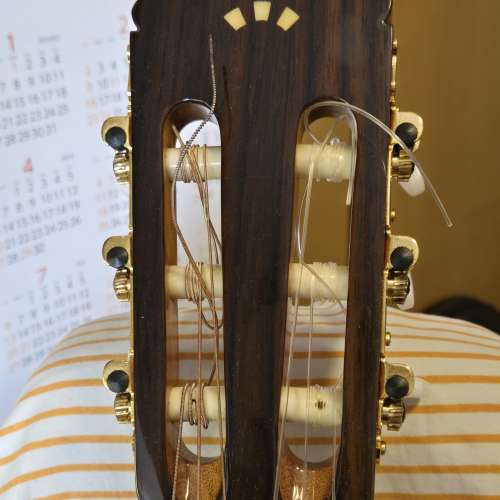 Cordoba C5 Limited Edition 古典結他