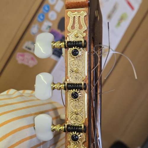 Cordoba C5 Limited Edition 古典結他