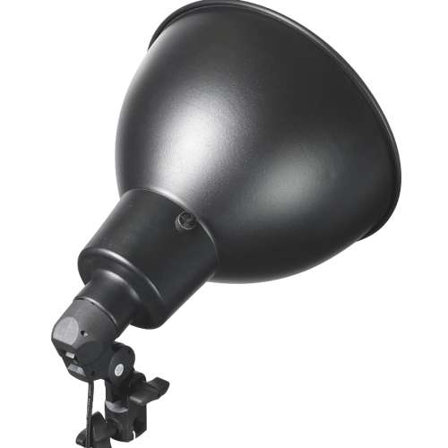 燈頭連燈罩 + 36W慳電燈泡