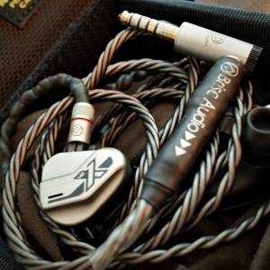 Brise Audio Shirogane 白銀 4 Wire 2 pin 4.4 mm  
 + 
Vision Ears VE10