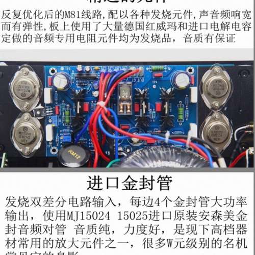 Taobao M81 Analog Meter Power Amp.