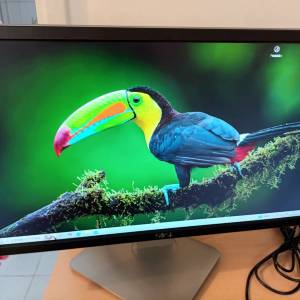 Dell 23寸濶窄框邊全高清（16:9）電腦顯示器