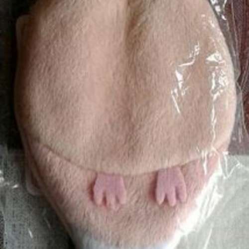 small zipper bag in bird design