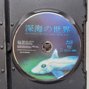 DVD影碟