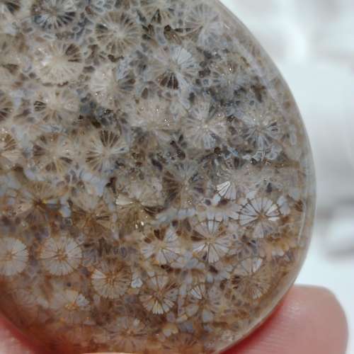 灰藍滿花微閃水晶共生水滴形珊瑚玉(配長繩)