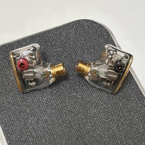 Elysian Acoustic Labs Annihilator 2023 IEM