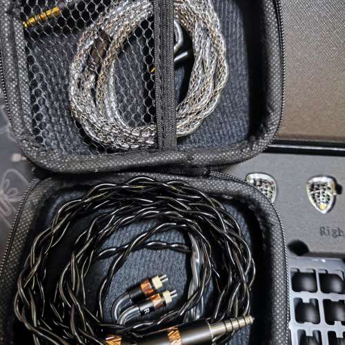 KZ Zenith + 28 cable