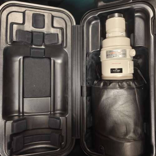 Canon EF 600mm f/4 L IS USM