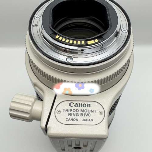 Canon 70-200mm f2.8 ii