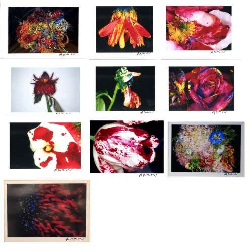 荒木經惟 色情花 Painting Flower Nobuyoshi Araki 荒木経惟