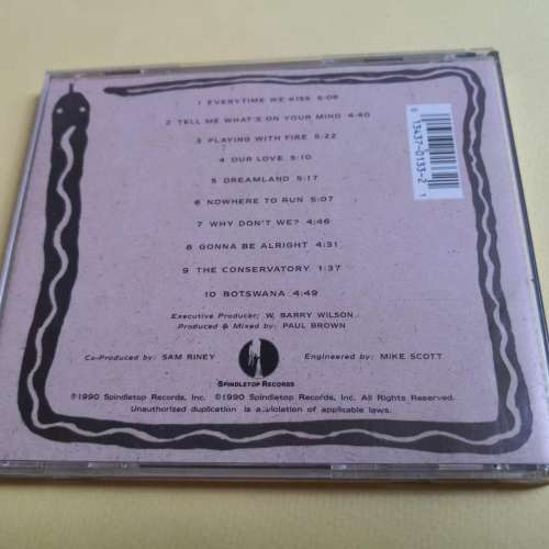 SAM RINEY Playing eith fire 美版