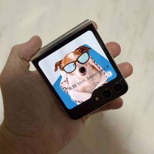 全網最平🔥Samsung galaxy flip 5 8+256美版單卡+esim白色