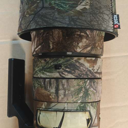 Nikon AF-S NIKKOR 200-500mm F5.6E ED VR