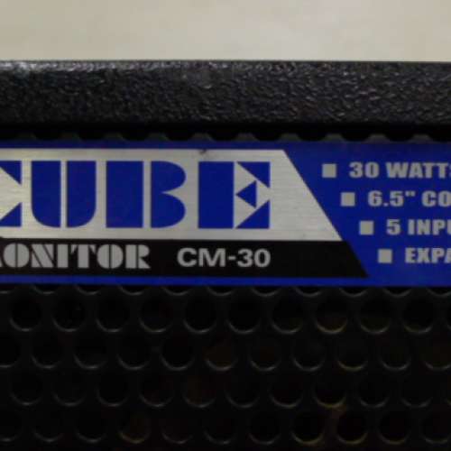 ROLAND  CM-30 monitor 高質 guitar amp