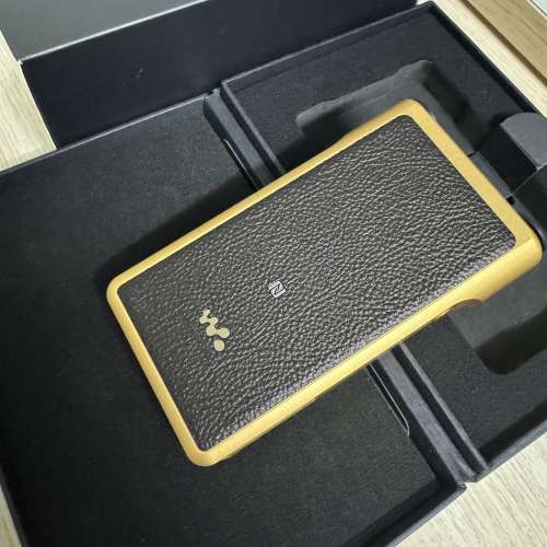 Sony WM1Z 第一代金磚