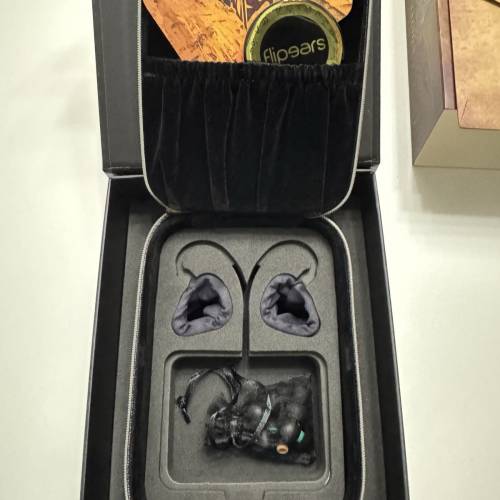 Flipears Legion In-Ear Monitors