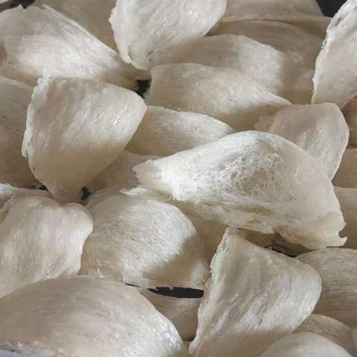 香港回收滋補品 燕窩 花膠 蟲草 海參等 回收熱線 WhatsApp +852 53401761