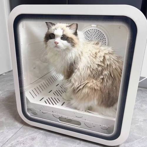 全自動靜音速乾殺菌，大容量寵物烘乾機