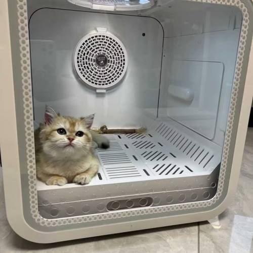 全自動靜音速乾殺菌，大容量寵物烘乾機