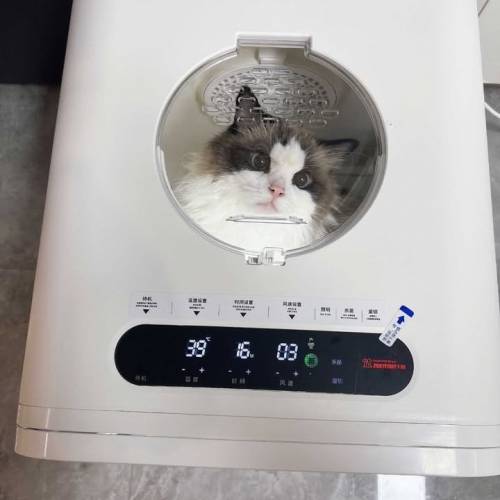 全自動靜音速乾殺菌，大容量寵物烘乾機