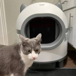 全自動貓砂盆超大號 喵理事全自動貓砂盆超大號 電動清理貓廁所封閉式鏟屎防沙外濺 ...