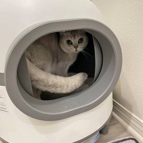 全自動貓砂盆超大號 喵理事全自動貓砂盆超大號 電動清理貓廁所封閉式鏟屎防沙外濺 ...