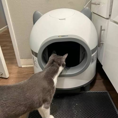 全自動貓砂盆超大號 喵理事全自動貓砂盆超大號 電動清理貓廁所封閉式鏟屎防沙外濺 ...