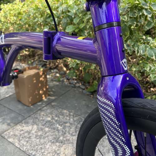 (紫色 電變 12速 40T飛輪) 2025最新款JAVA NEO 電變12速 紫色碟剎349鋁合金折叠車（...