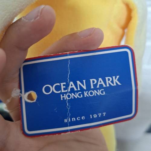 海洋公園香蕉公仔、中國南方航空熊貓公仔和可愛女熊貓公仔。