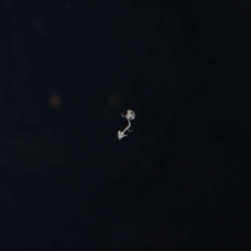 bronica mc 40mm f4.0