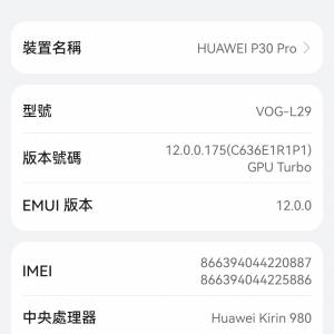 Huawei 華為 P30 Pro