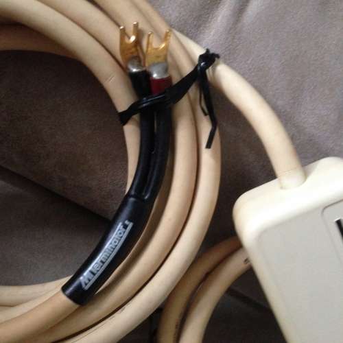 🎵MIT Terminator 2 Speaker Cable Pair MUSIC INTERFACE TECH USED 每條6米 喇叭線🎵