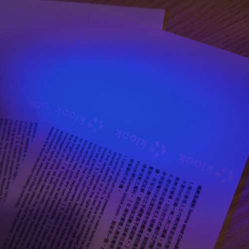 Anson lo 12月10日飛2張