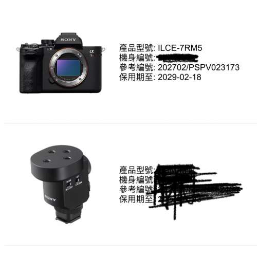 Sony A7RV