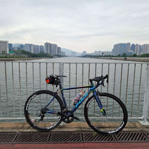Fuji sl 富士頂級碳纖維幻彩公路車碳架碳輪碳軨單車節不是giant merida java canno...
