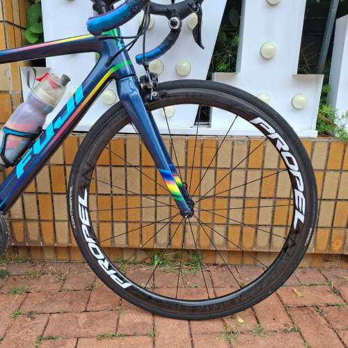 Fuji sl 富士頂級碳纖維幻彩公路車碳架碳輪碳軨單車節不是giant merida java canno...