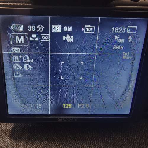 Sony Cyber-shot DSC-HX1 (20x倍光學變焦)