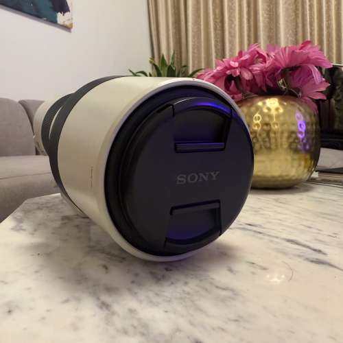 Sony FE 200-600mm F5.6-6.3 G OSS