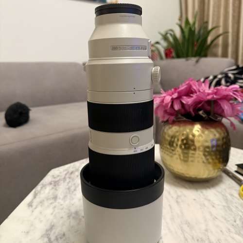 Sony FE 200-600mm F5.6-6.3 G OSS