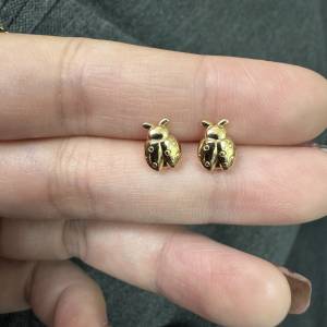 18k金甲蟲耳環（耳釘）