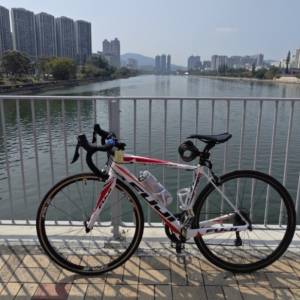 Fuji 碳纖公路單車