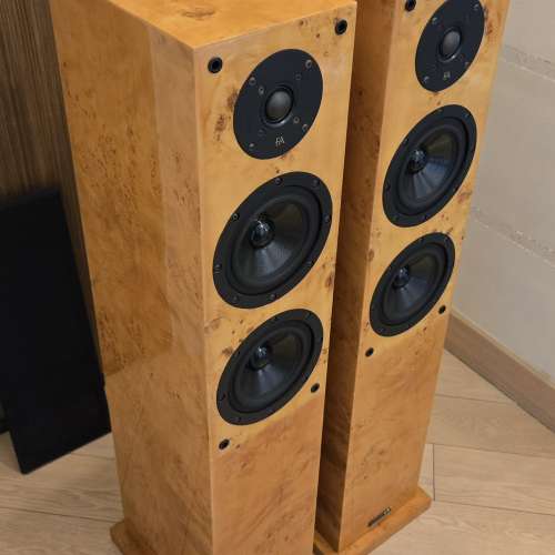 加拿大製 Focus Audio MT1  雀眼木, 鋼琴木音箱