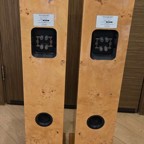 加拿大製 Focus Audio MT1  雀眼木, 鋼琴木音箱