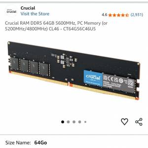 Crucial DDR5 5600MT/s 64GB 單條
