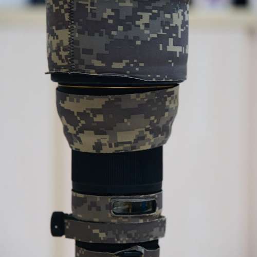 Sigma APO 300mm F2.8 EX DG HSM + APO TELE CONVERTER 2x EX DG for Nikon